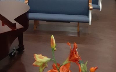 Fulton, Mississippi  –  The Meadows Chapel